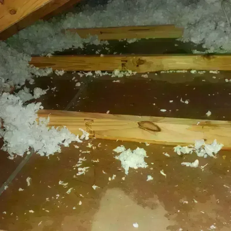 Attic Water Damage in Milroy, PA